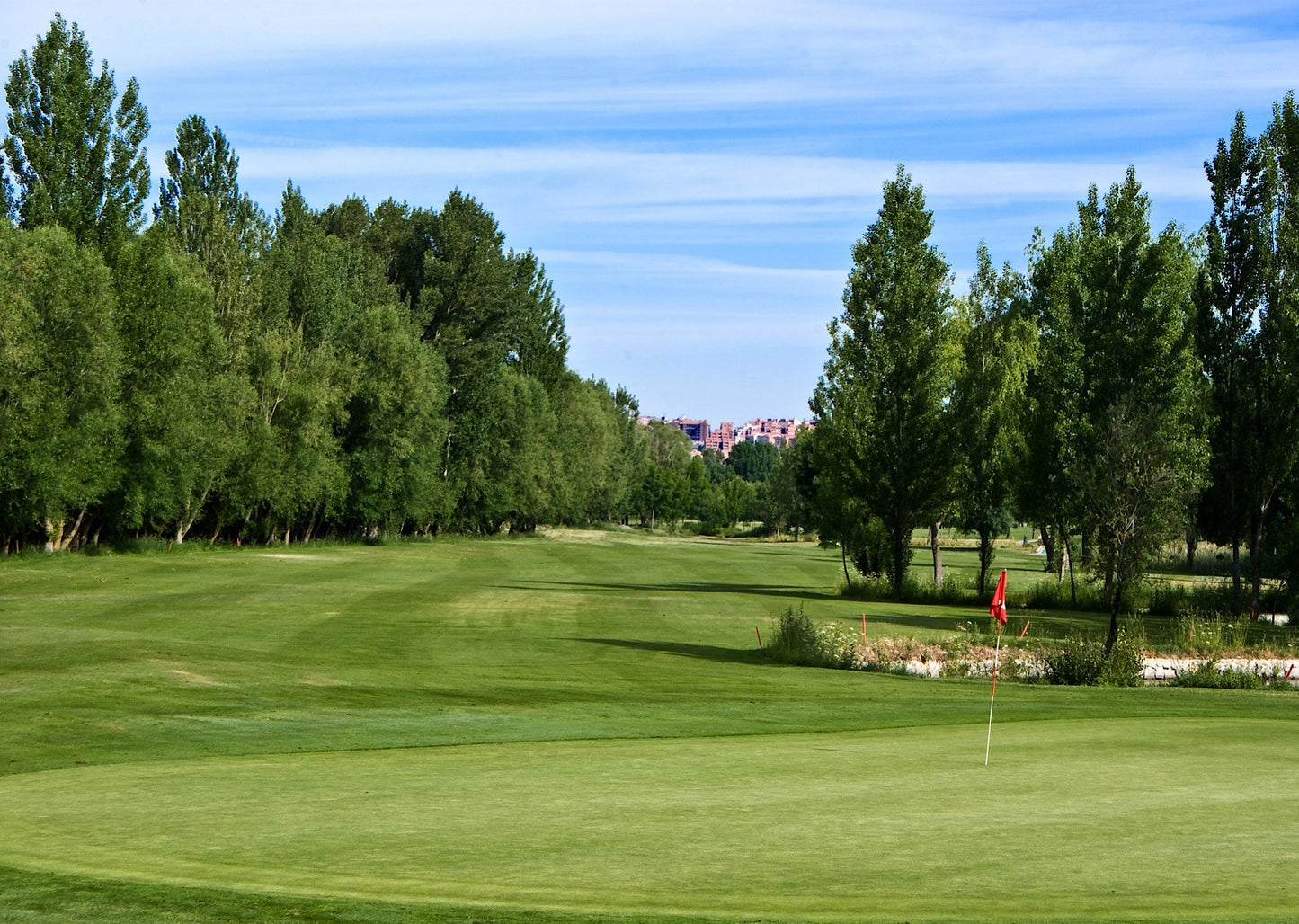 Torneo Polo Swing Naturavila golf