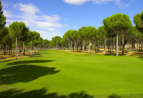 Torneo Polo Swing Proshop Aldeamayor golf